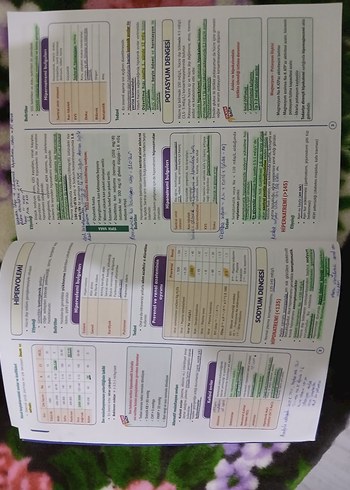 SPEETUS Genel Cerrahi TUS Hazırlık Kitabı 3. Baskı - Görsel 3