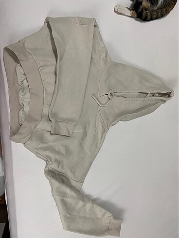 Bej Crop sweatshirt