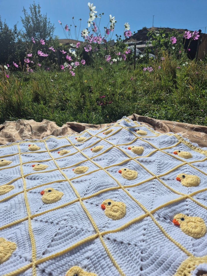 ördekli bebek battaniyesi - Görsel 4