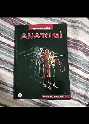 Anatomi