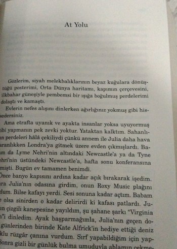 Beden Siyah Kuğu Parkı - David Mitchell