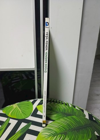 Beden Green Lantern Yeniden Doğuş Çizgi Roman