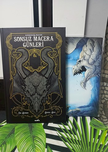 Sonsuz Macera Günleri çizgi roman limitli