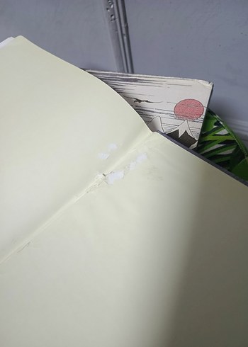 J.R.R. Tolkien'den Hobbit Resimleri (Kutulu-Numaralı-Özel Baskı) - Görsel 7