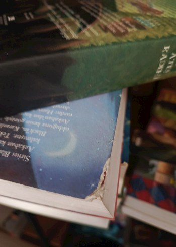 Harry Potter Serisi  şömizli - 7 Kitap - Görsel 6