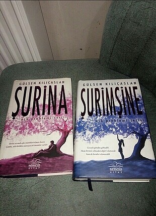 Şürina şürimşina