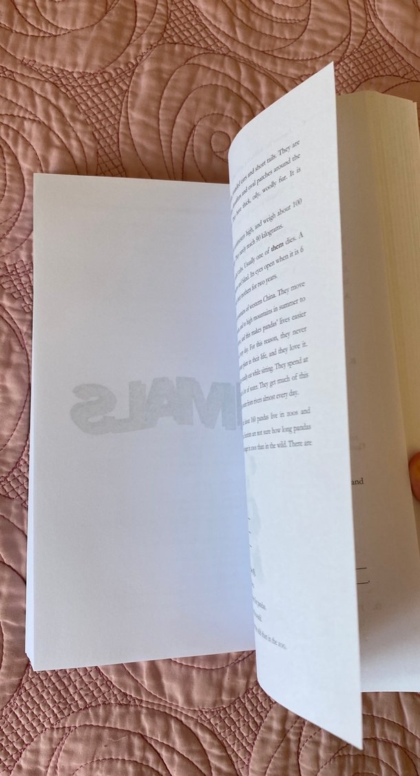 More to Read I - Temel İngilizce Kitabı - Görsel 3