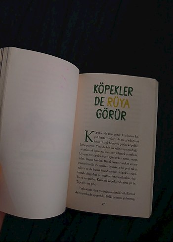 Kemik - Yaşlı Adam ve Köpeğin Dostluğu - Görsel 3