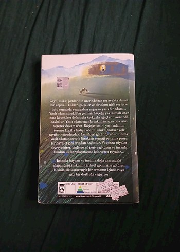 Kemik - Yaşlı Adam ve Köpeğin Dostluğu - Görsel 2