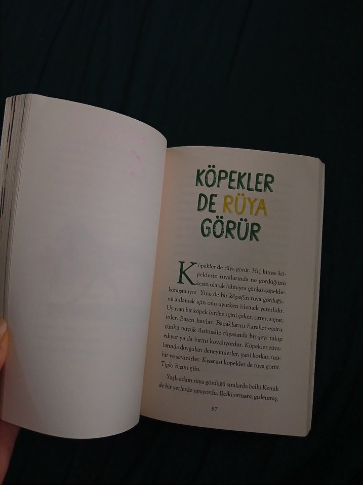 Kemik - Yaşlı Adam ve Köpeğin Dostluğu - Görsel 3