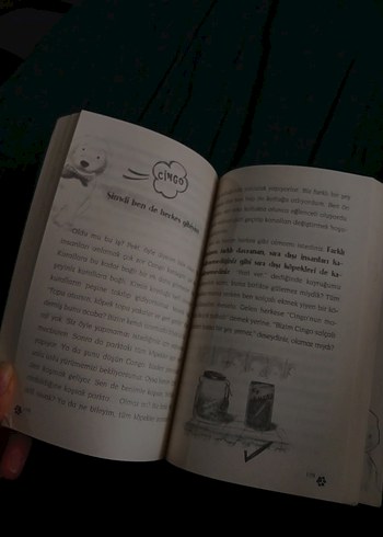 Çingo - Ben İnsan Değil Miyim? - Görsel 2