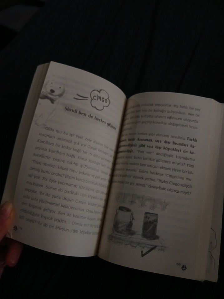 Çingo - Ben İnsan Değil Miyim? - Görsel 2