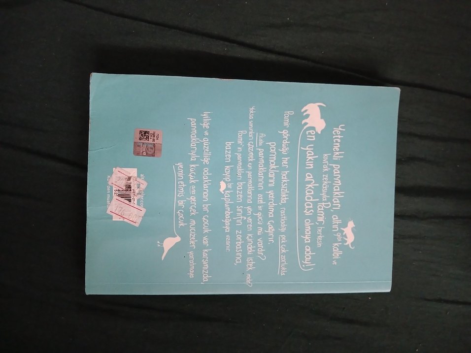 Pamir'in Parmakları - Görsel 2