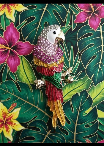 Ara Papağanı Broşu - Görsel 2