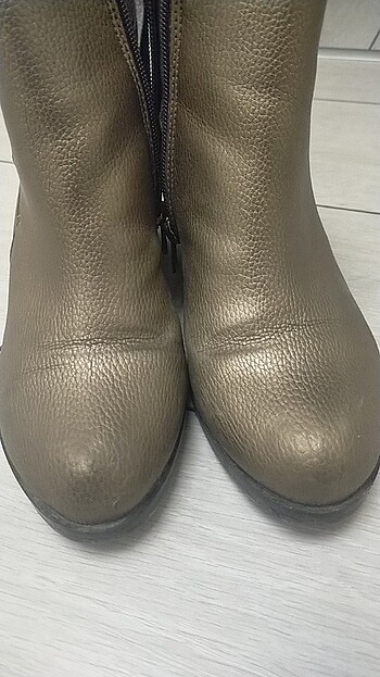 Pierre Cardin Piere cardin bot 