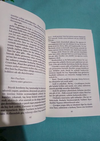 Kırmızı Papağan - José Mauro de Vasconcelos - Görsel 2