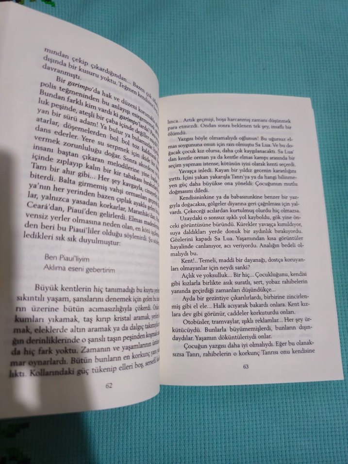 Kırmızı Papağan - José Mauro de Vasconcelos - Görsel 2