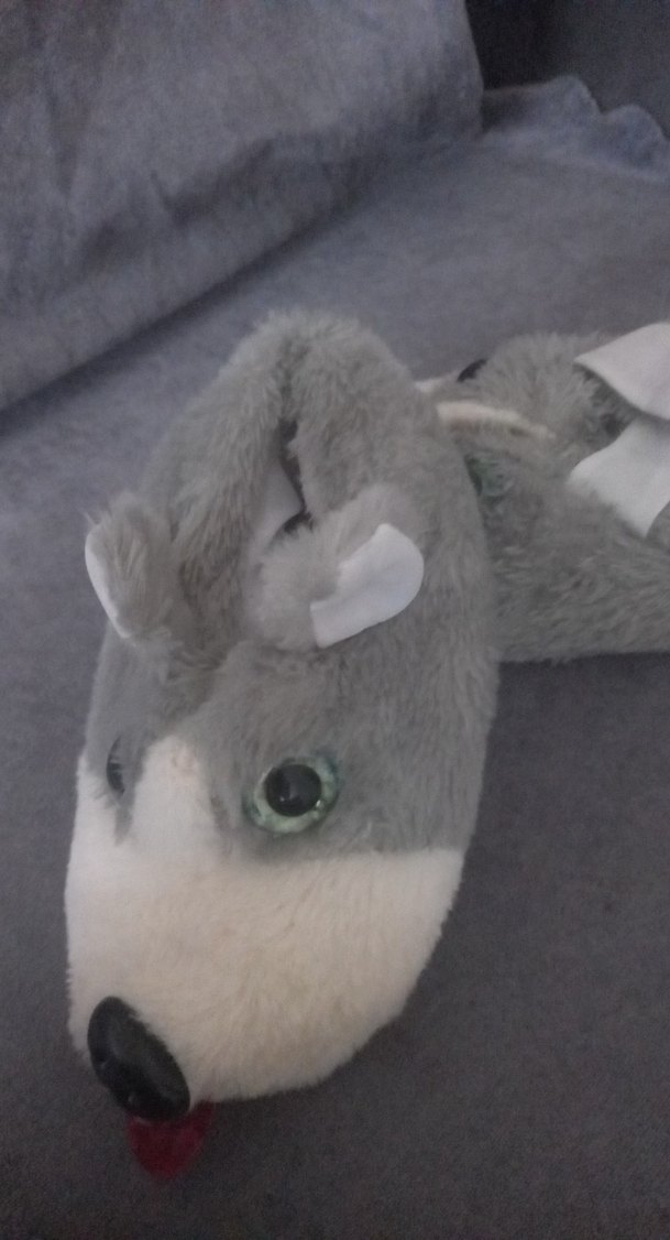 Peluş Gri Erkek Çocuk Ev Terliği - Görsel 4