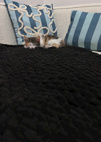 Bebek/Tv Battaniyesi - Görsel 3