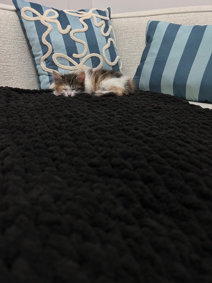 Bebek/Tv Battaniyesi - Görsel 3