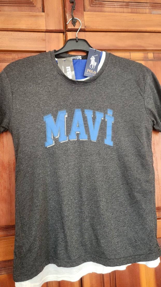 Mavi Baskılı Gri Kısa Kollu Tişört - Görsel 2