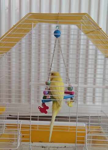 Kafesiyle birlikd? 