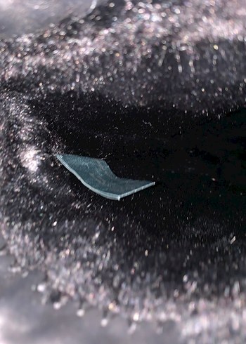 TOMMY HİLFGER 37 - Görsel 4