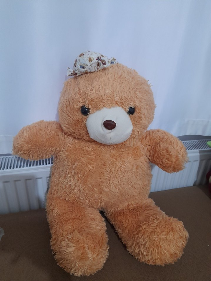 Peluş Ayıcık Oyuncak gözü burnunda çizik gibi deforme var - Görsel 5