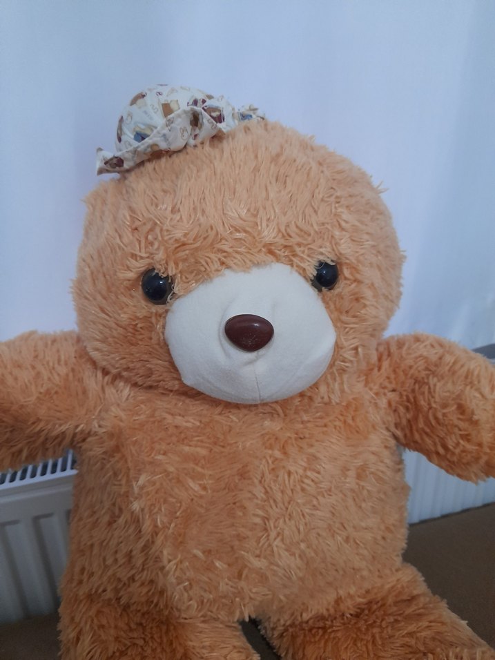 Peluş Ayıcık Oyuncak gözü burnunda çizik gibi deforme var - Görsel 2