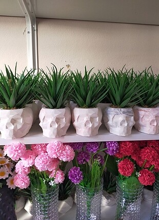 Kuru kafa beton saksıda yapay Aloe Vera 