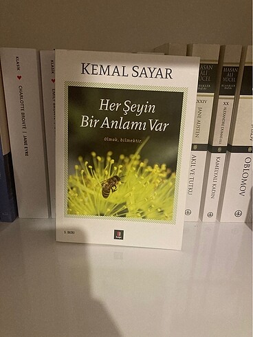 Her Şeyin Bir Anlamı Var ~ Kemal Sayar