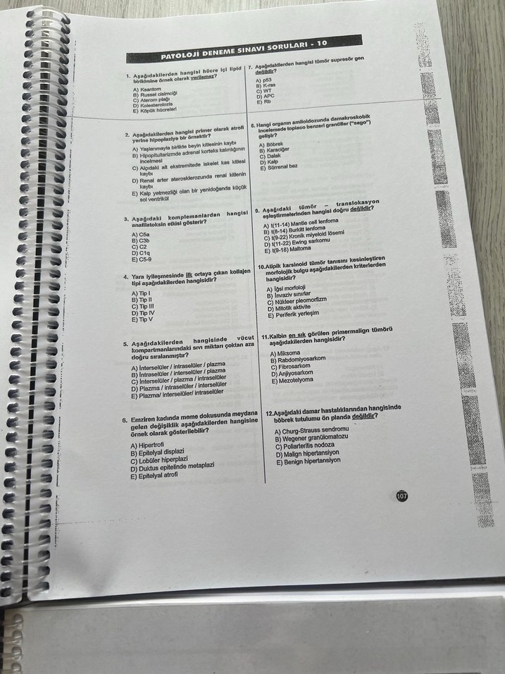 41 Deneme Serisi - Tusdata - Görsel 4