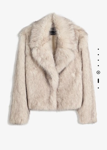 Gri Kürk Detaylı Deri Ceket - Görsel 7