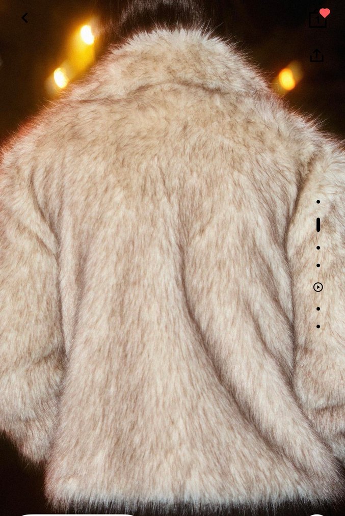 Gri Kürk Detaylı Deri Ceket - Görsel 5