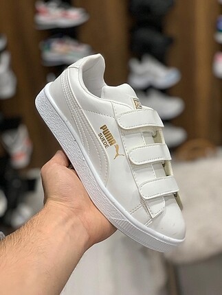 Beyaz cırtlı puma