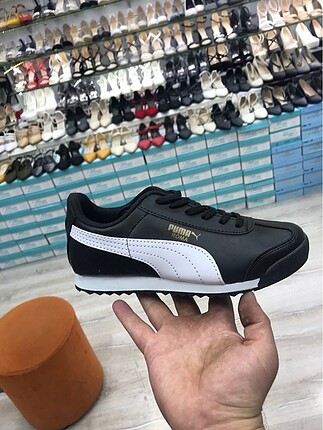 Puma roma