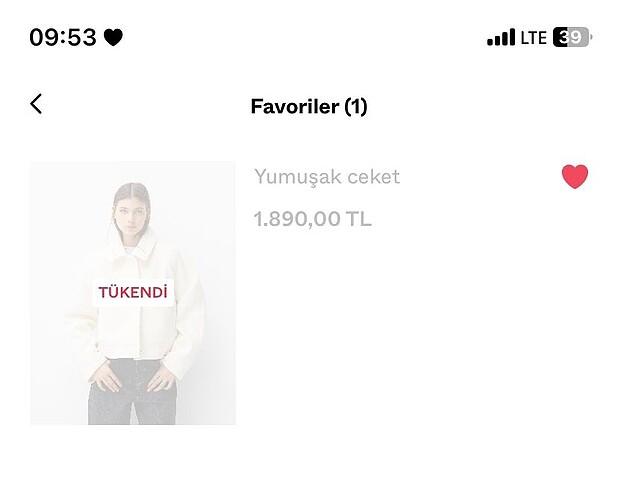 Bershka ceket
