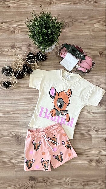24-36 Ay Beden Alt üst takım