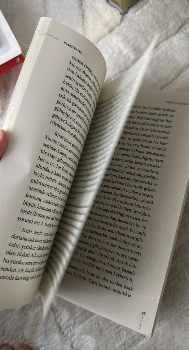 Franz Kafka - Babaya Mektup Romanı - Görsel 4
