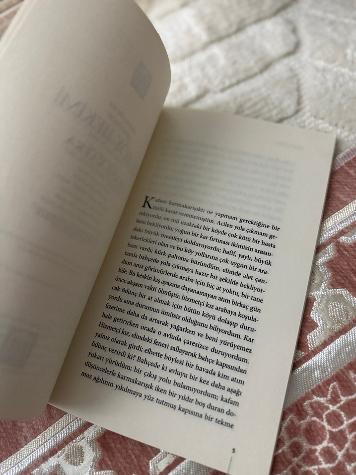 Bir Köy Hekimi - Franz Kafka - Görsel 3