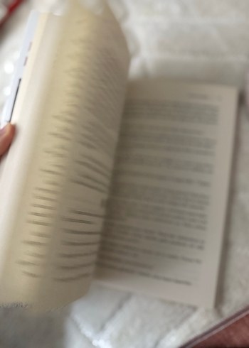 Paşalar Divanı - Talha Yıldız - Görsel 4