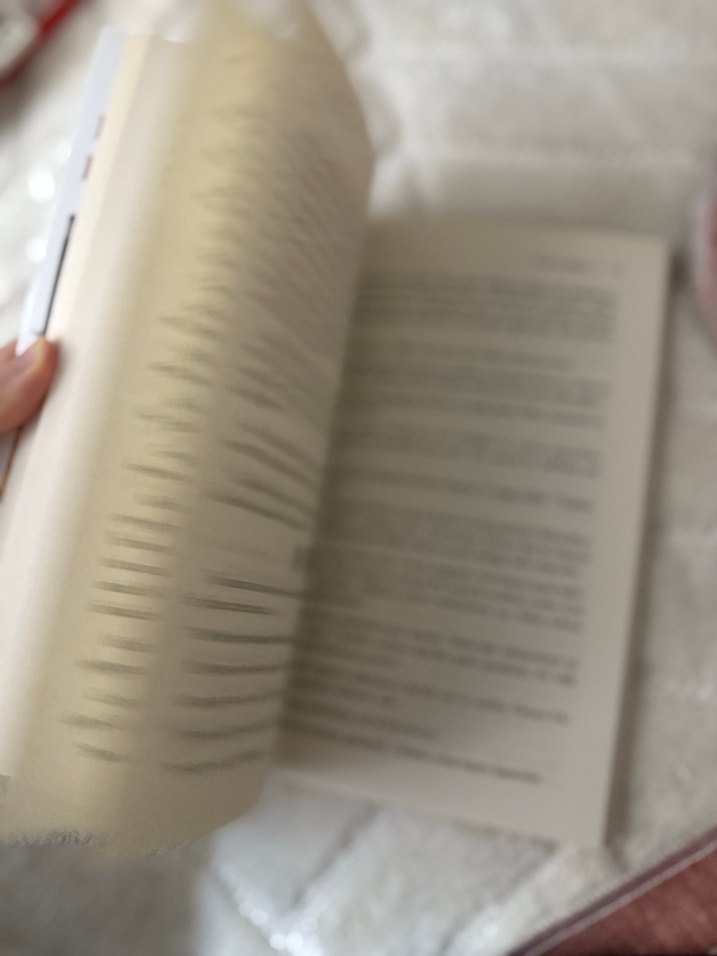 Paşalar Divanı - Talha Yıldız - Görsel 4