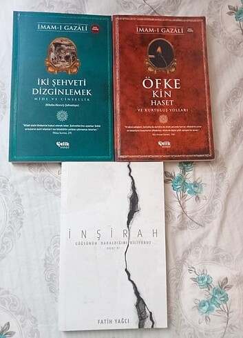 İnşirah, öfke kin haset, iki şehveti dizginlestirmek