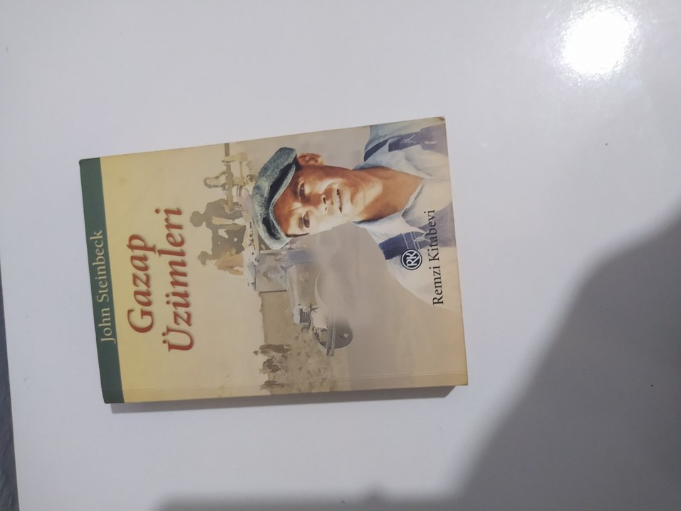 Gazap Üzümleri - John Steinbeck - Görsel 2