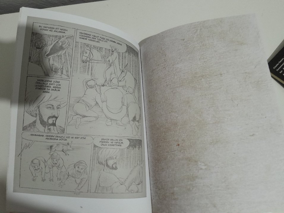 Gentile Bellini'nin Resimli Konstantiniyye Günlüğü - Görsel 3