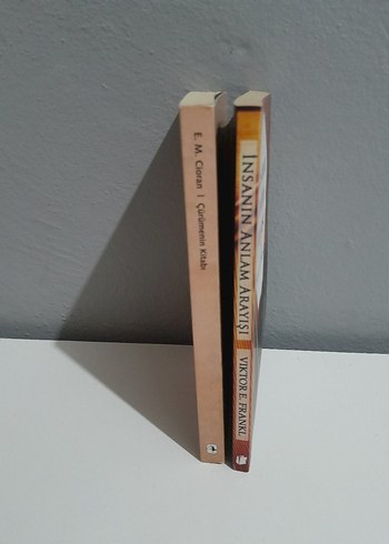 İnsanın Anlam Arayışı ve Çürümenin Kitabı - Görsel 2