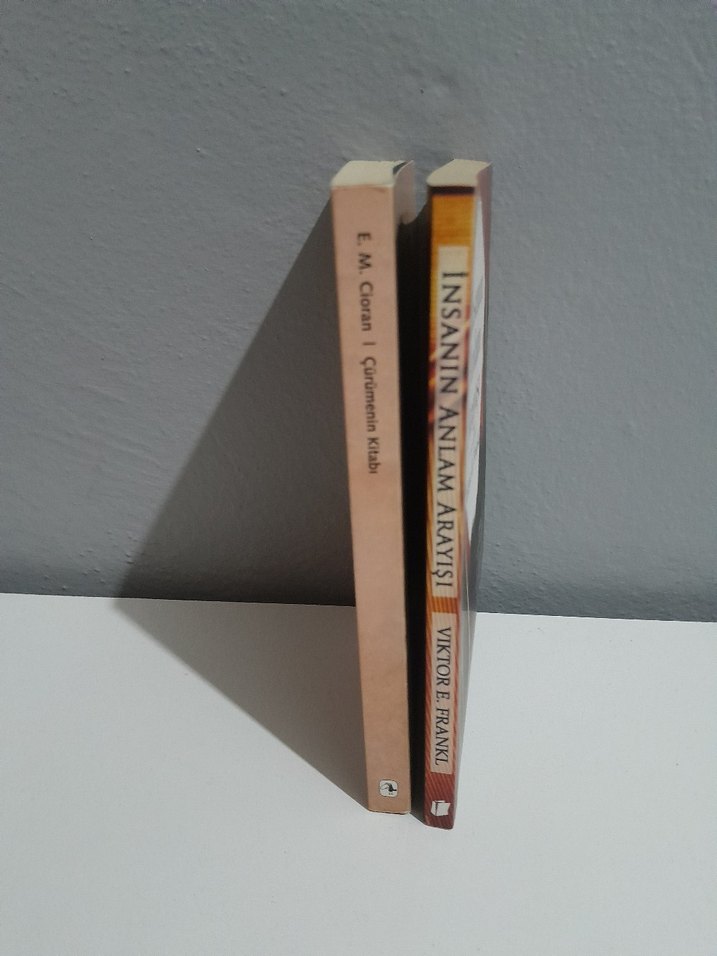 İnsanın Anlam Arayışı ve Çürümenin Kitabı - Görsel 2