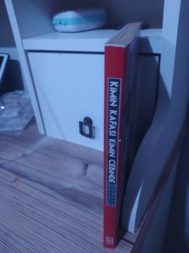 Kimin Kafası Kimin Cebinde - Carlyn Beccia - Görsel 2