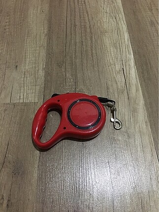 Köpek tasması
