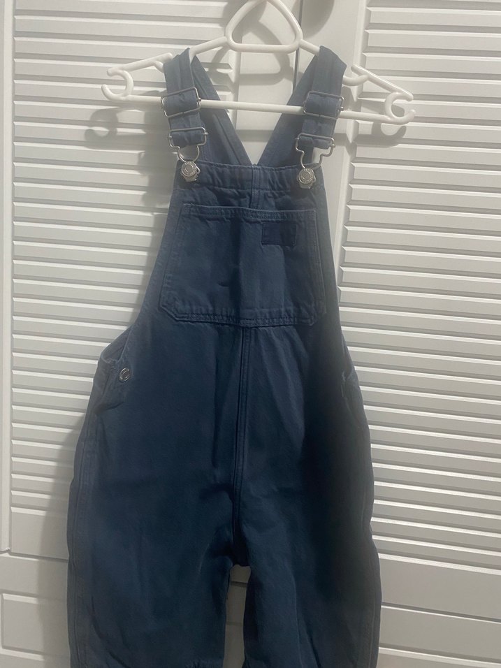 Zara mevsimlik salopet - Görsel 2